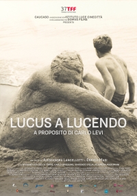 Lucus a Lucendo. A proposito di Carlo Levi (2021)