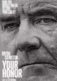 Your Honor (Serie TV)